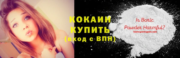 спайс Бородино
