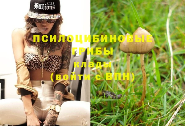кристаллы Верея